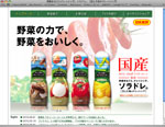 日本食研ソラドレ商品サイト